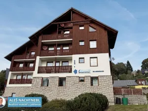 Prodej bytu 1+kk, Albrechtice v Jizerských horách, 30 m2