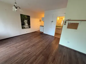Prodej bytu 1+kk, Jílové u Prahy, Holíkova, 44 m2