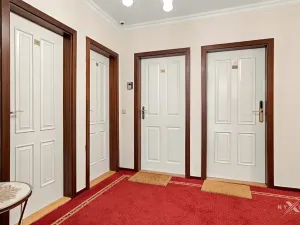 Prodej bytu 1+kk, Praha - Vinohrady, Balbínova, 23 m2