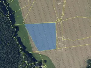 Prodej pole, Spělkov, 25164 m2