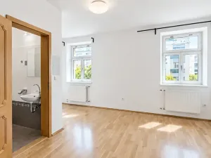 Prodej bytu 4+1, Praha - Vinohrady, Francouzská, 140 m2