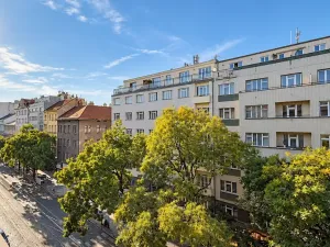 Prodej bytu 4+1, Praha - Vinohrady, Francouzská, 140 m2