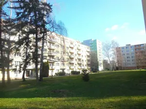 Pronájem bytu 1+kk, Zlín, třída Svobody, 21 m2