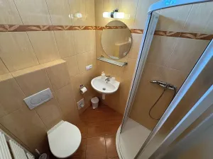 Prodej ubytování, Nové Hutě, 300 m2