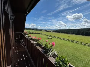 Prodej ubytování, Nové Hutě, 300 m2