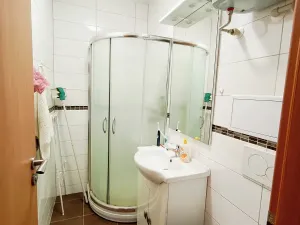 Pronájem bytu 1+kk, Brno, Skořepka, 24 m2