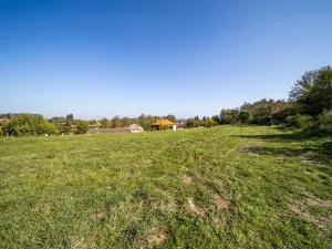 Prodej pozemku pro bydlení, Daleké Dušníky, 5258 m2