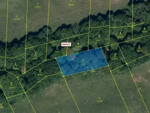 Dražba lesa, Píšť, 1130 m2