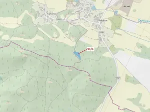 Dražba lesa, Pačejov, 3251 m2