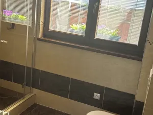 Prodej rodinného domu, Borek, 170 m2
