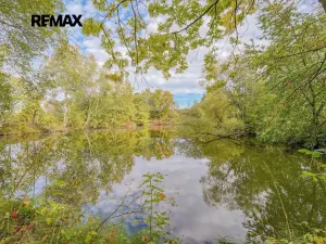 Prodej rybníku, Kožlany, 2200 m2