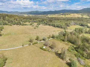 Prodej pozemku pro bydlení, Nová Pec, 2451 m2