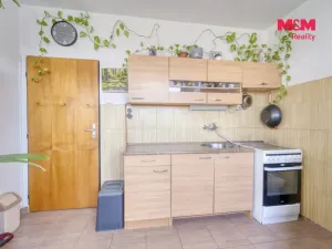 Pronájem bytu 1+1, Plzeň, Čermákova, 34 m2
