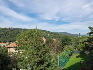 Prodej rodinného domu, Brno, Kalvodova, 314 m2
