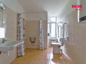 Pronájem bytu 1+kk, Vlčice, 36 m2
