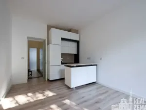 Pronájem bytu 2+kk, Praha - Žižkov, Bořivojova, 54 m2