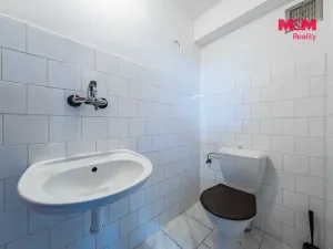 Pronájem rodinného domu, Šestajovice, Ve Skalkách, 125 m2