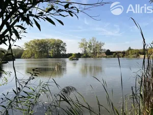 Prodej zahrady, Vojkovice, 910 m2
