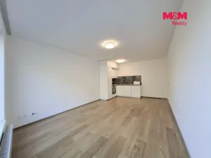 Pronájem bytu 1+kk, Praha - Michle, Nuselská, 41 m2