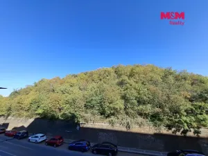 Pronájem bytu 1+kk, Praha - Michle, Nuselská, 41 m2