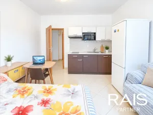 Prodej bytu 1+kk, Brno, 30 m2