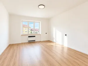 Prodej bytu 1+1, Brno, 48 m2