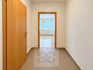 Pronájem bytu 1+kk, Brno, Dusíkova, 40 m2
