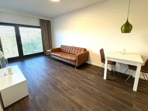 Pronájem bytu 2+kk, Brno - Veveří, Lidická, 55 m2