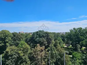 Pronájem bytu 2+kk, Brno - Veveří, Lidická, 55 m2