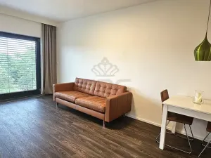 Pronájem bytu 2+kk, Brno - Veveří, Lidická, 55 m2