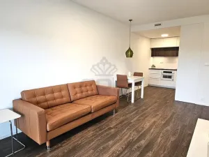 Pronájem bytu 2+kk, Brno - Veveří, Lidická, 55 m2