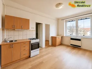 Pronájem bytu 1+1, Ostrava, Korunní, 45 m2