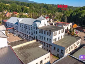 Pronájem výrobních prostor, Jílové - Modrá, 330 m2