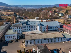 Pronájem výrobních prostor, Jílové - Modrá, 330 m2