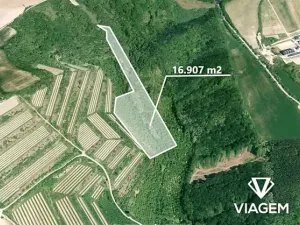 Prodej zahrady, Nikolčice, 16907 m2