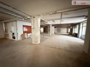 Pronájem obchodního prostoru, Praha - Nové Město, Vodičkova, 800 m2