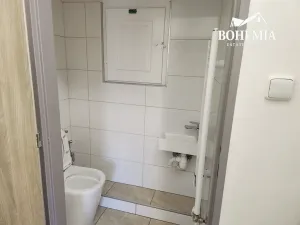 Prodej bytu 3+1, Teplice, U Hadích lázní, 105 m2
