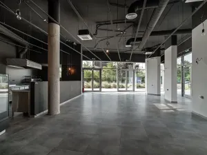 Pronájem restaurace, Praha - Holešovice, V háji, 240 m2