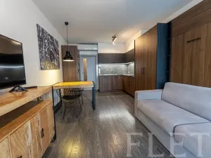 Pronájem bytu 1+kk, Praha - Karlín, Sokolovská, 31 m2