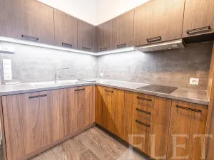 Pronájem bytu 1+kk, Praha - Karlín, Sokolovská, 31 m2