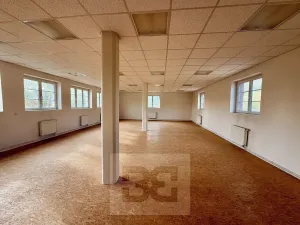Prodej výrobních prostor, Mladá Boleslav, Ptácká, 1011 m2