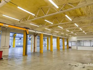 Prodej výrobních prostor, Liberec, Malodoubská, 3613 m2