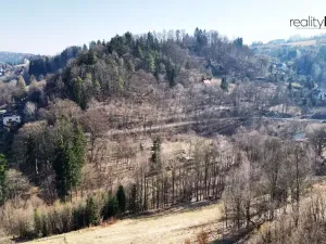 Prodej louky, Železný Brod, 4168 m2
