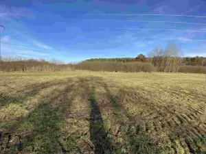 Dražba louky, Vodňany, 2663 m2