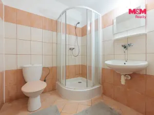 Prodej ubytování, Františkovy Lázně - Horní Lomany, Družstevní, 618 m2