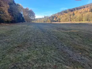 Prodej pole, Stará Ves, 8308 m2