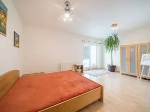 Pronájem atypického bytu, Brno, Tučkova, 80 m2