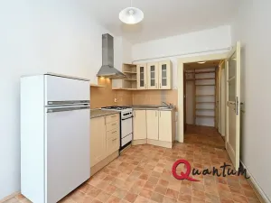 Pronájem bytu 1+1, Praha - Vinohrady, Fričova, 41 m2