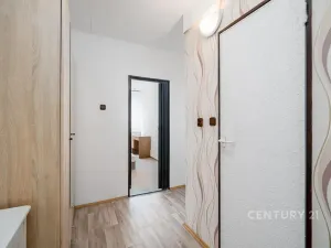 Pronájem bytu 2+kk, Teplice, V závětří, 41 m2