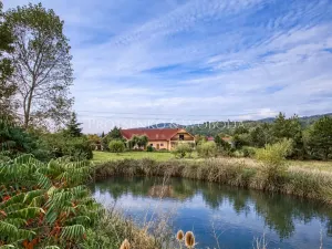 Prodej vícegeneračního domu, Předenice, 482 m2